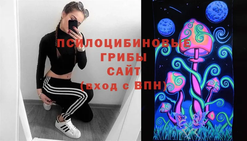 Псилоцибиновые грибы MAGIC MUSHROOMS  купить наркоту  гидра зеркало  даркнет Telegram  Крым 